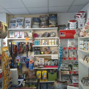 Sala de espera consulta veterinaria en Madrid Sala de espera consulta veterinaria en Madrid