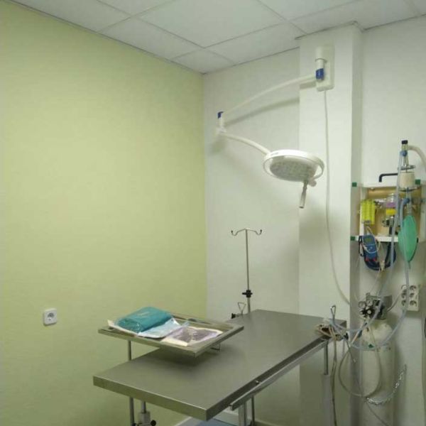 Quirófano consulta veterinaria en Madrid Quirófano consulta veterinaria en Madrid