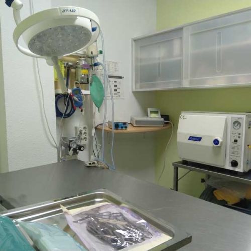 Quirófano consulta veterinaria en Madrid Quirófano consulta veterinaria en Madrid